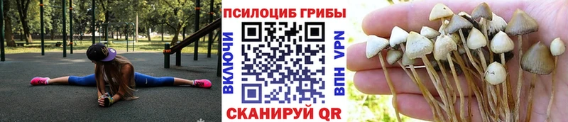 Галлюциногенные грибы прущие грибы  Ставрополь 