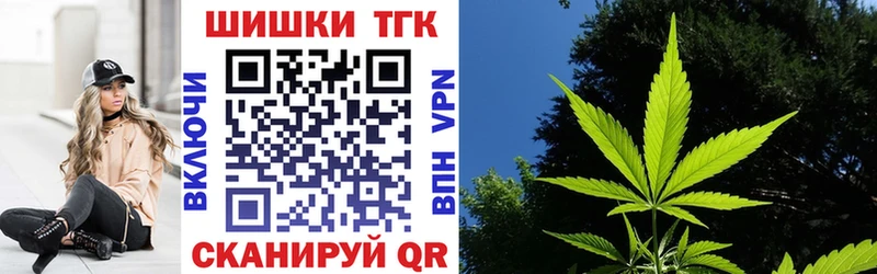 Бошки Шишки план Ставрополь